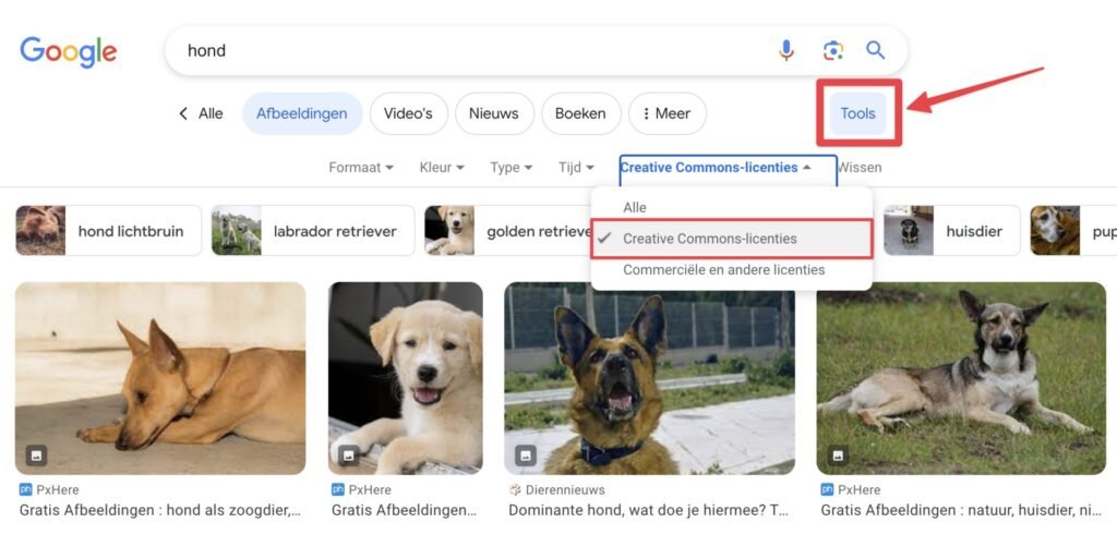 google afbeeldingen rechtenvrij