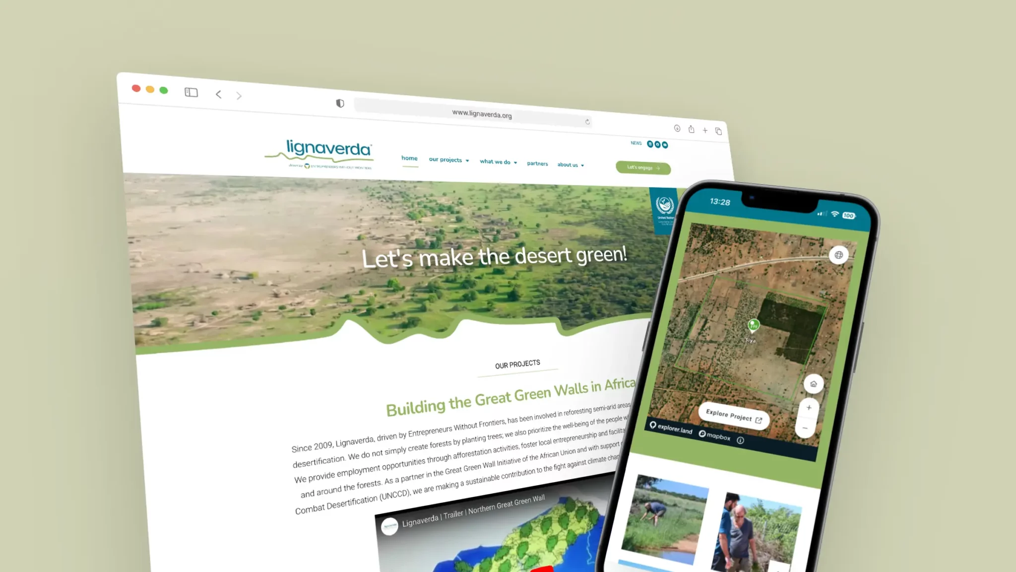 mockup lignaverda