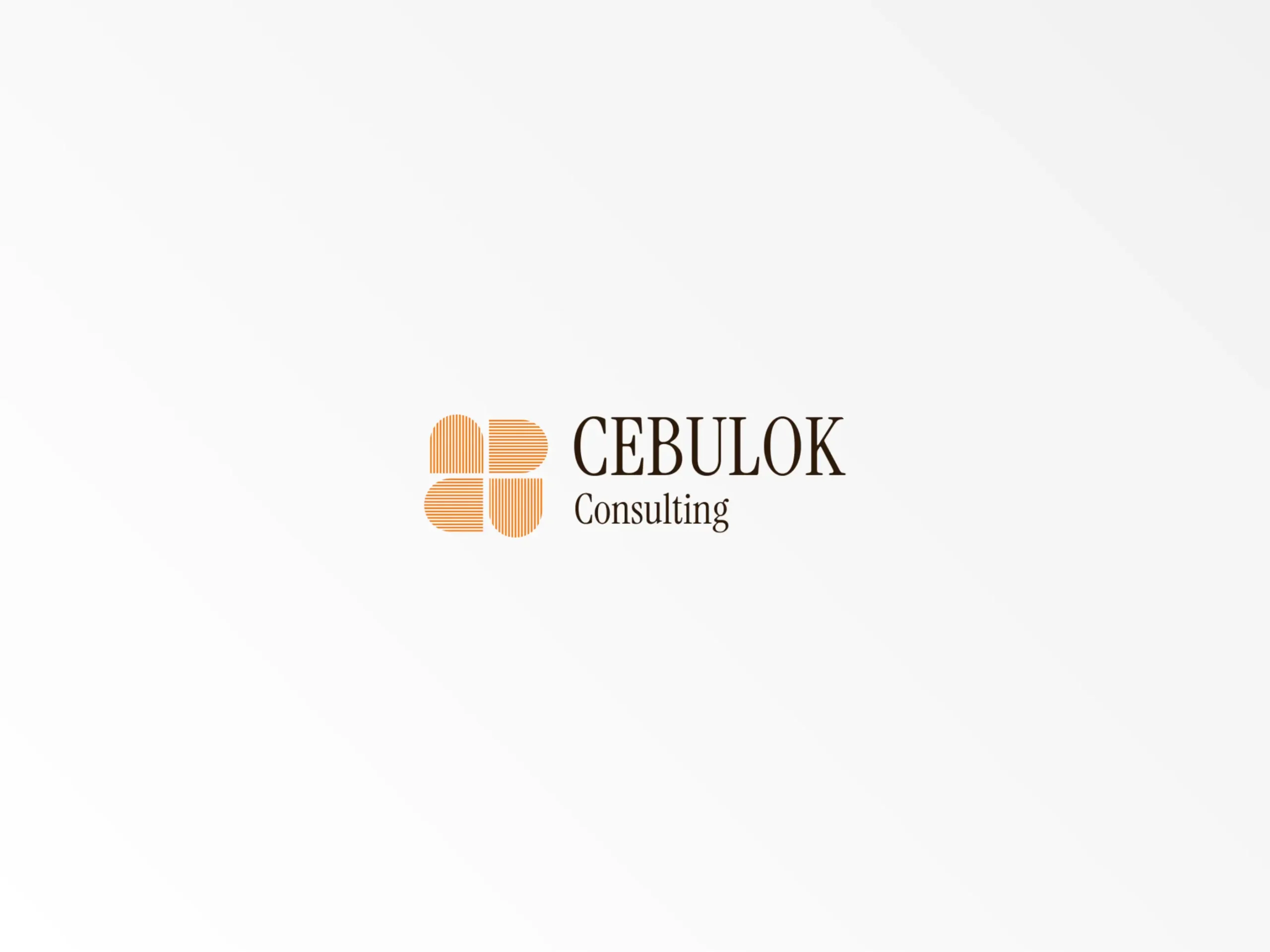 cebulok consulting project